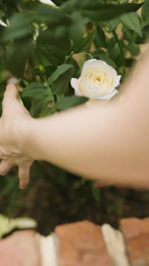 她靠弹幕翻身 第6集