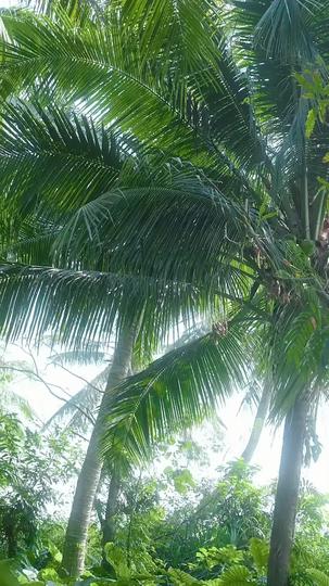 Lights Off, Survival On Episode 4