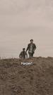 Épisodes 74