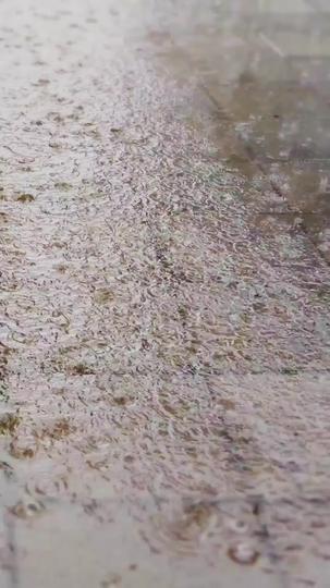 端午祭祖,男友一家把我丢下车 第1集