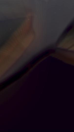 金牌外卖侠 第5集