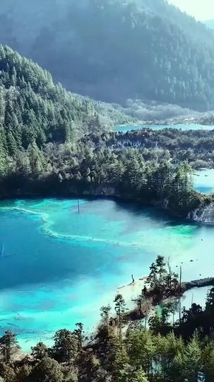 البطلة التي تقود الطريق إلى الأمام 1مجموعة