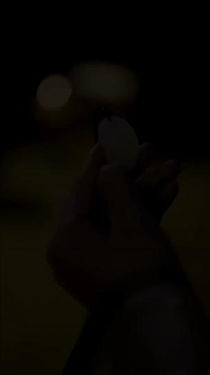 參加皇帝登基，太後被沈湖了 第1集