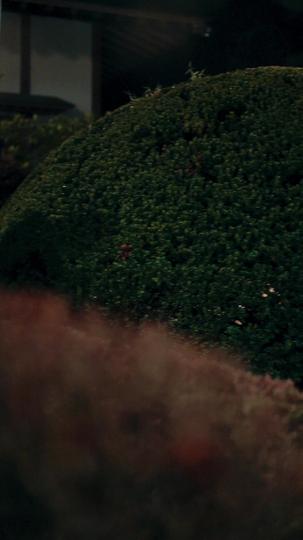 不思議な契約恋人 第 2 話