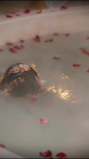 Bride of Vengeance: Blood Debts of the Crown Episode 1