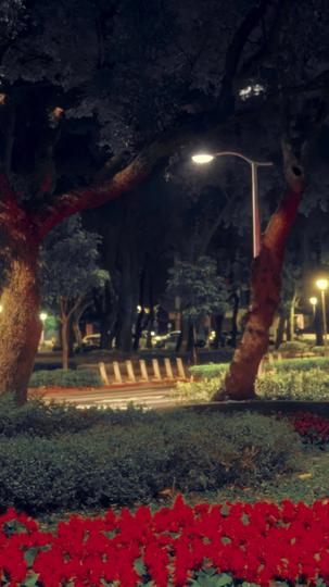 Alpha King, This Time I Reject You Episode 7