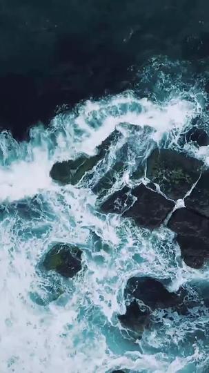 顧總的幸孕寵妻 第3集