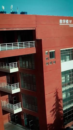 教子无方家败光 第6集