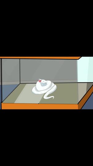 我的白蛇能无限进化 第2集