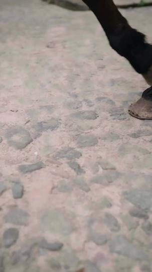 La Regina del Campo di Battaglia Episodio 2