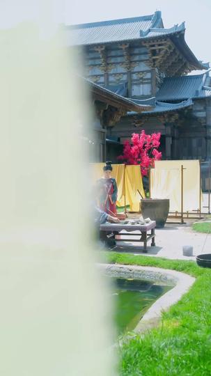 大夏第一夫 第5集