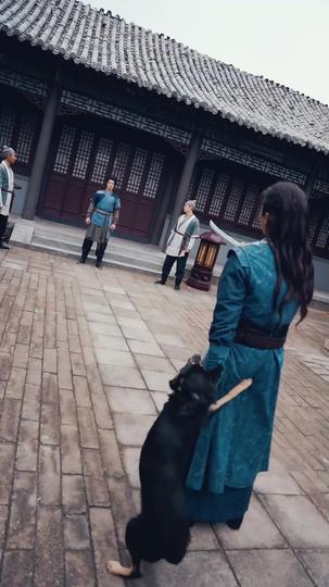 حكم الطاقة السماوية 2مجموعة