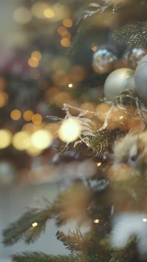 Kayıp Miras: Noel Hesaplaşması Böl. 1