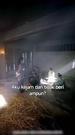 Episode 25