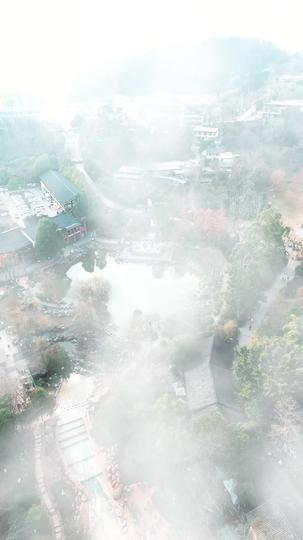 我在综艺直播当大师 第1集