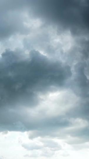 Fur-tunate: Born Full of Luck Episode 1