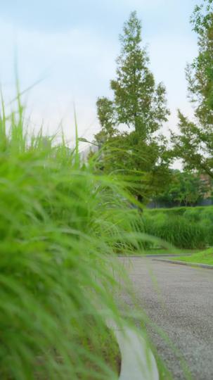 Kindness with a Twist Episode 10