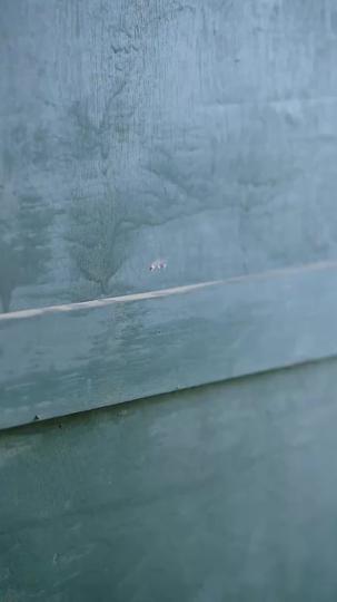 From Shadows of Love, I Step into Light Episode 4