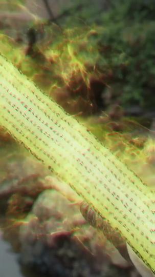 絶世の神皇 第 4 話