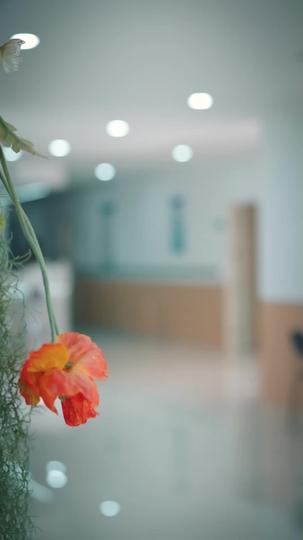 再见时已无恨无爱 第3集