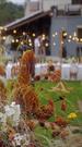 Episode 50