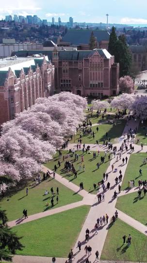 Breaking Chains for a New Life Episode 6