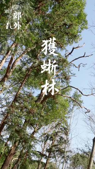 朕,如此多嬌 第6集