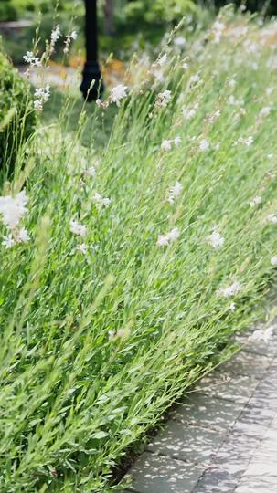 Luka di Ujung Pendengaran Episode 1