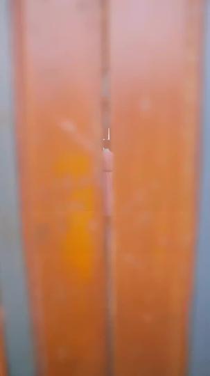 A Loser in Name, a Master in Game Episode 2