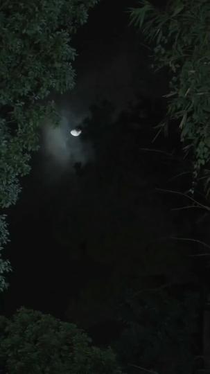 Oathbound: The Chosen One Episode 1