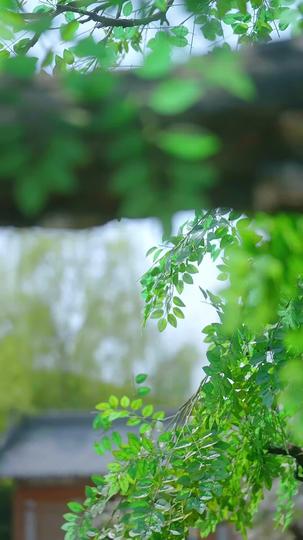 我在深宮渾水摸魚 第7集