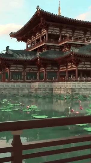 岁岁安宁 第11集