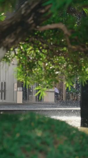 El mundo se rinde a su pincel Episodio 1