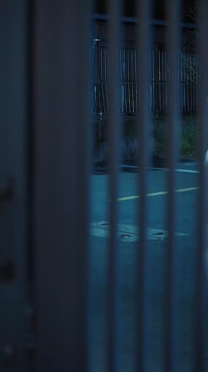 戰袍到紅裝，我在豪門點兵點將 第8集