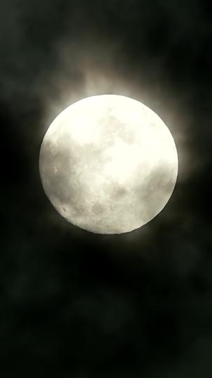 What Exactly Lies in the Dance Studio Episode 8