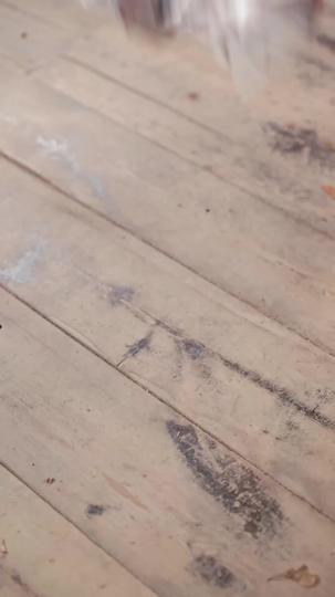 طليعة النخبة: رحلة انتصار (مدبلج) 11مجموعة