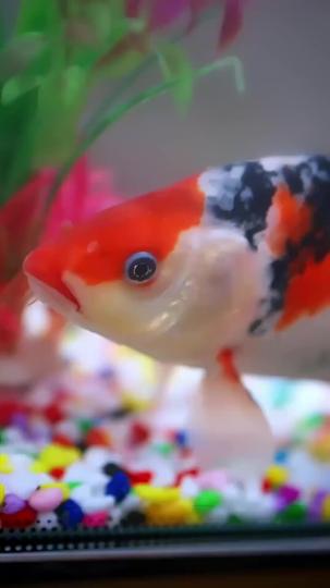 Regret Served in Seven Portions Episode 6