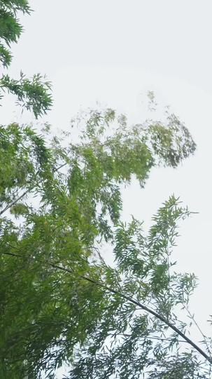 Across Worlds, I Claim the Crown Episode 8