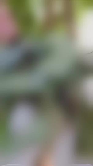 L'Épouse Indésirable Se Venge Épisode1