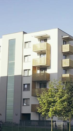 Midlife Flash Marriage: My Billionaire CEO Episode 6