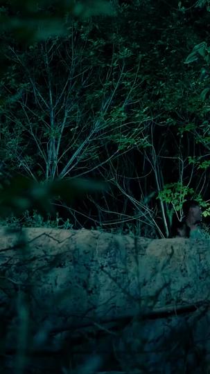 The Wind Whispers Your Name Episode 2