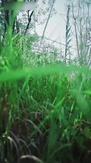 My Stunning Boss Lady Episode 1