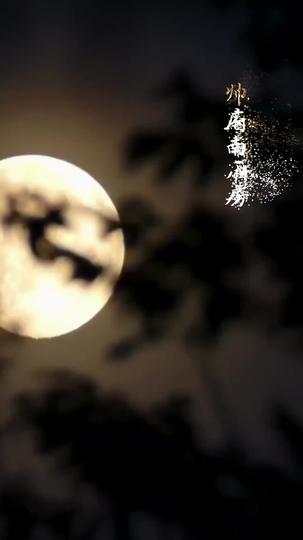 Time's Portal: His Revision of History Episode 7