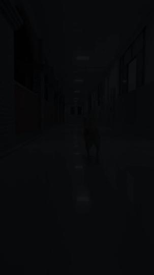 来福回家过年啦 第1集
