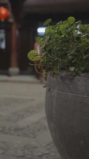 Unforgiven: Blood Oath of Retribution Episode 5