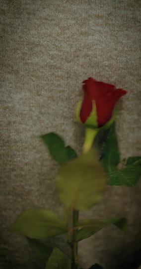 My Serial Killer Lover Episode 11