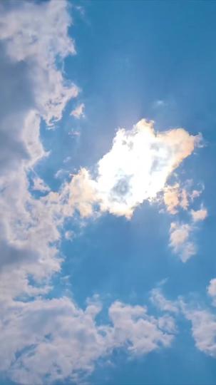 零五致富，全家悔不當初 第7集