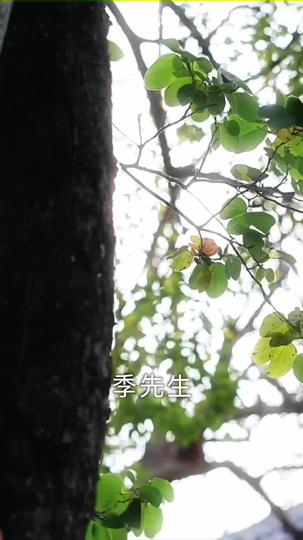 晚来舟不渡 第9集