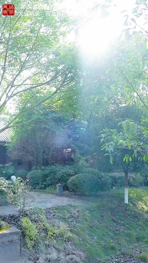 修真奶爸不好惹 第1集