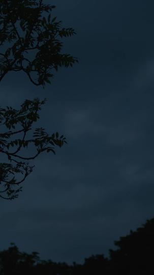 기안과 위험한 질주 제7회